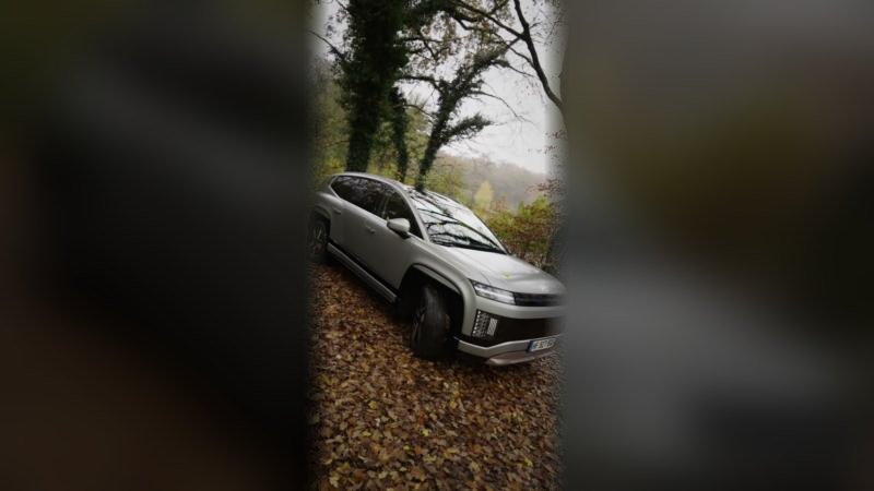 Hyundai Ioniq 9 garé sur un tapis de feuilles d’automne en forêt